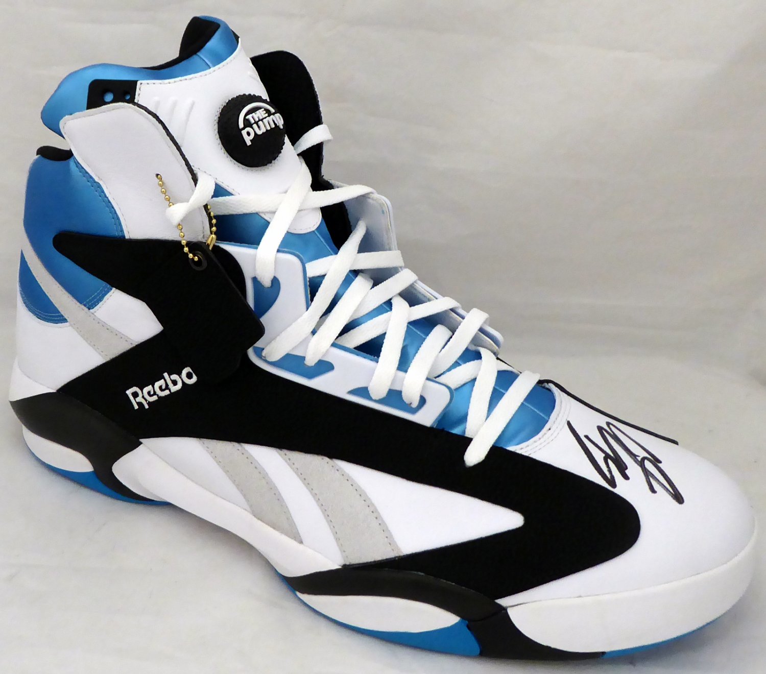 Autographed Shoes
