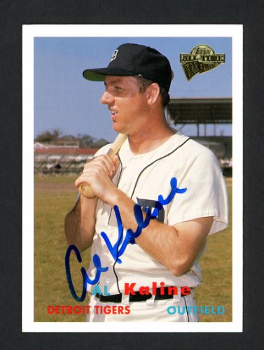 Al Kaline Detroit Autographed Pro Style Baseball Jersey Grey JSA — RSA