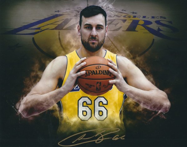 Andrew Bogut Autographed Signed 8X10 Los Angeles Lakers Photo - Autographs
