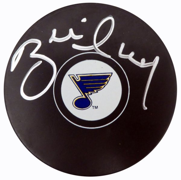 1995-96 Brett Hull St. Louis Blues Stanley Cup Play-Offs Game Worn