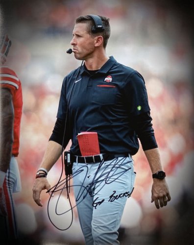 Brian Hartline Ohio State Buckeyes 16-1 16x20 Autographed Signed Photo - Certified Authentic 