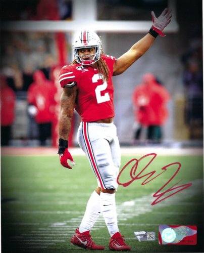 Chase Young Ohio State Buckeyes 8-1 8x10 Autographed Signed Photo - Fanatics Authentic 
