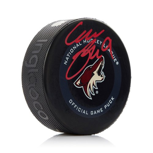 Phoenix Coyotes Team Autographed Jersey Shane Doan Daniel Briere Nagy -  collectibles - by owner - sale - craigslist