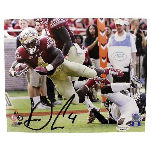 Dalvin Cook Florida State Seminoles Autographed Signed 8x10 Certified Authentic 