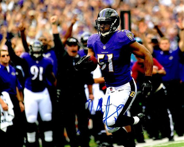 Daryl Smith Autographed Signed 8X10 Baltimore Ravens Photo - Autographs 