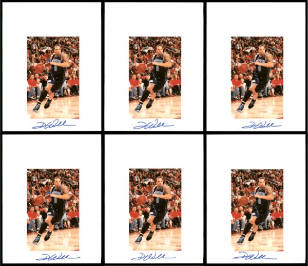 Deron Williams Autographed Signed 8.5X11 Photo 12 Count Lot Utah Jazz #194023 