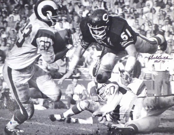 Dick Butkus Autographed 16X20 Photo Chicago Bears "HOF 79" Beckett Beckett