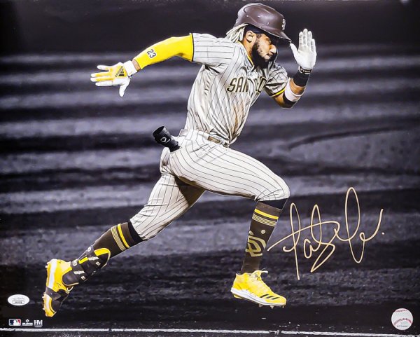Fernando Tatis Jr. Autographed 16X20 Photo San Diego Padres Spotlight JSA