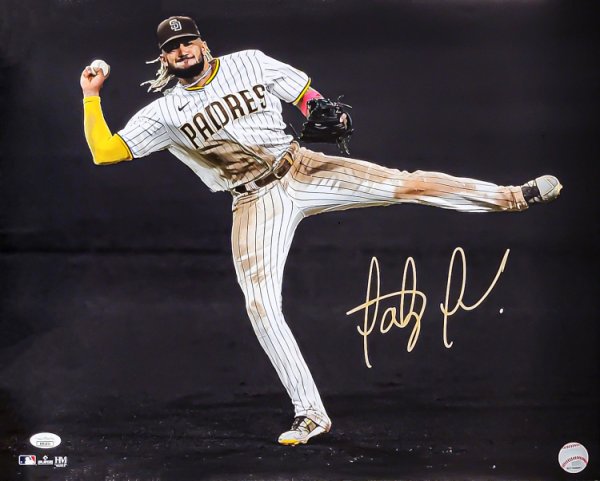 Fernando Tatis Jr. Autographed 16X20 Photo San Diego Padres Spotlight JSA