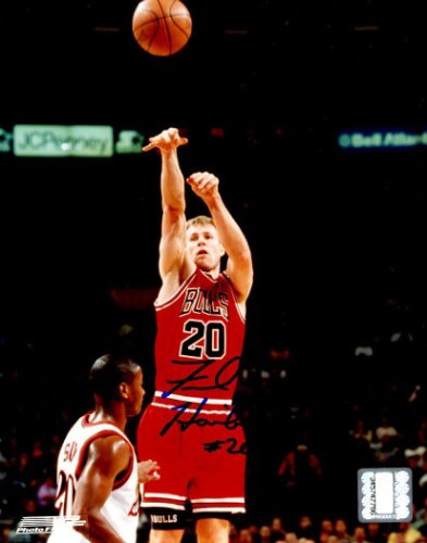 Fred Hoilberg Autographed Signed 8X10 Chicago Bulls Photo - Autographs