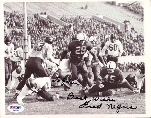 Fred Negus Autographed Signed 7X9 Wire Photo "To John" PSA/DNA 