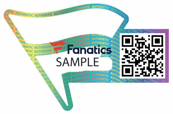 Joe Burrow Autographed Signed Framed 16X20 Photo Cincinnati Bengals Fanatics Holo #221124 