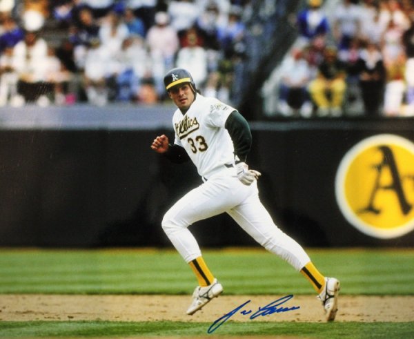 Jose Canseco Autographed Signed Oakland A's 11X14 Photo - COA - Autographs 