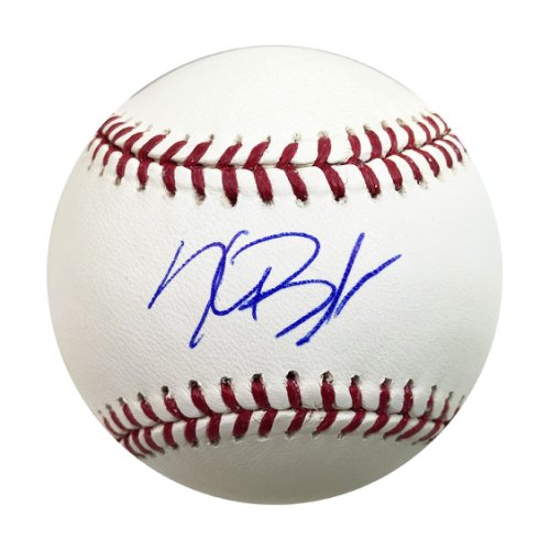Anthony Rizzo Chicago Cubs Autographed Baseball and Gold Glove Display Case  with Image - Autographed Baseballs