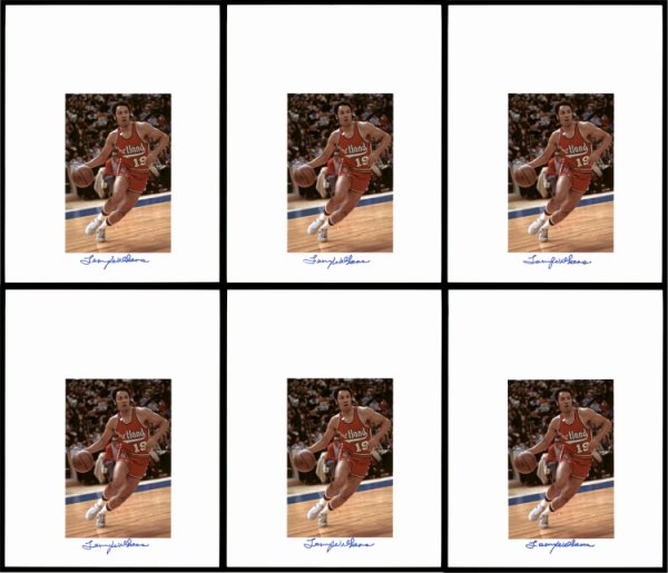 Lenny Wilkens Autographed Signed 8.5X11 Photo 12 Count Lot Portland Blazers #194011 