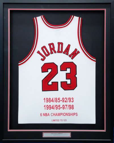 VINTAGE Michael Jordan PRO CUT Chicago Bulls Champion Jersey 1994 1995 SIZE  52