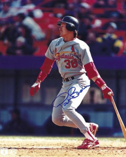 Pat Borders Autographed Signed 8X10 St. Louis Cardinals Photo - Autographs