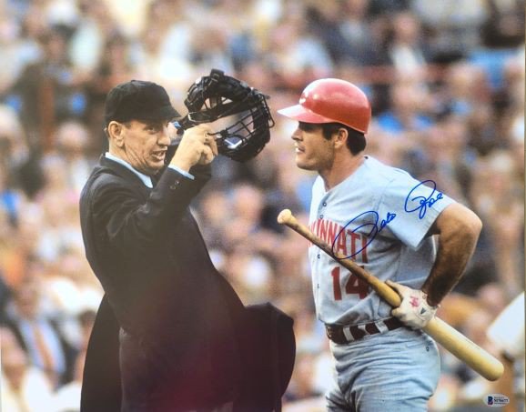 Pete Rose Autographed Signed 16X20 Cincinnati Reds Photo - Beckett - Autographs 