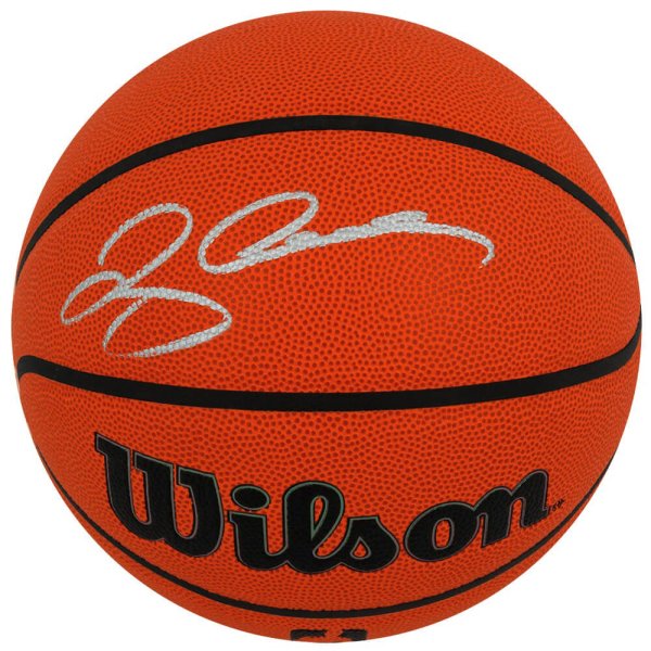 Ray Allen Autographed Signed Wilson Indoor/Outdoor NBA Basketball 