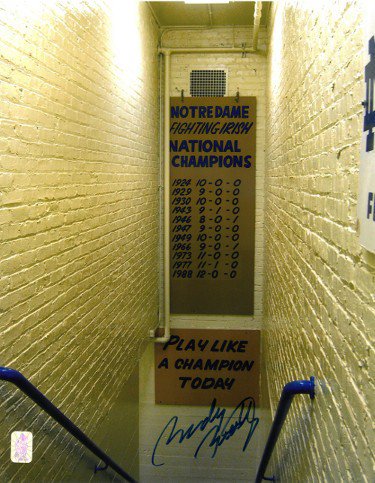 Rudy Ruettiger Autographed Signed Notre Dame Fighting Irish 11X14 Photo- Rudy 45 Hologram (staircase) 