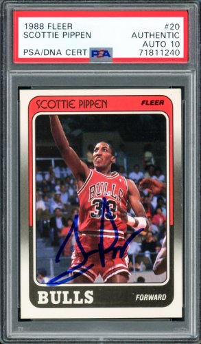Lids Scottie Pippen Chicago Bulls Autographed Fanatics Authentic
