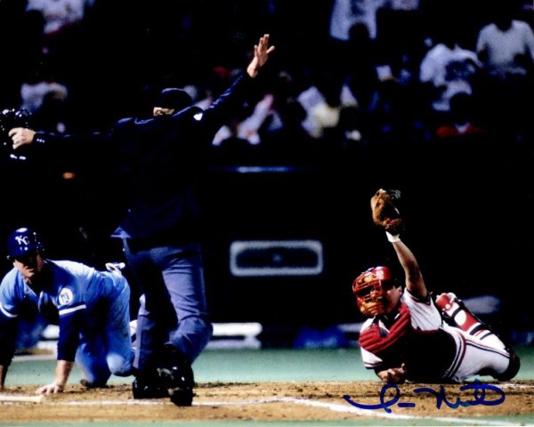 Tom Nieto Autographed Signed 8X10 St. Louis Cardinals Photo - Autographs