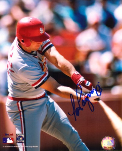 Tom Pagnozzi Autographed Signed 8X10 St. Louis Cardinals Photo - Autographs