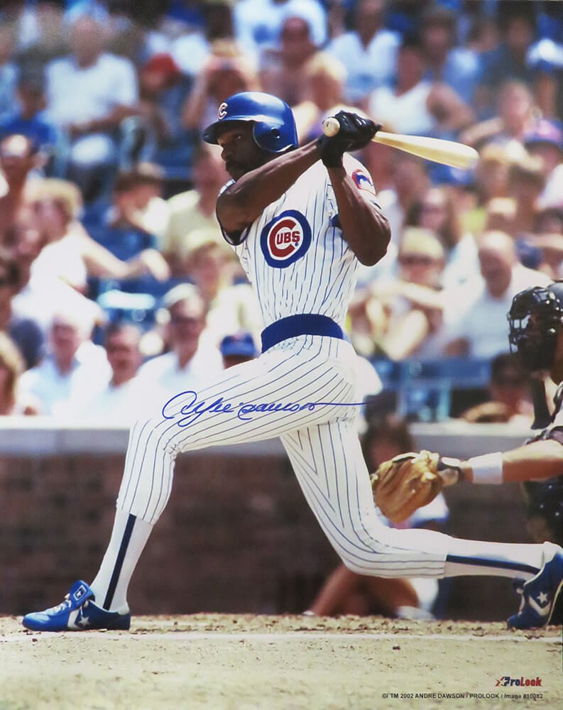 Andre dawson signed jersey on sale