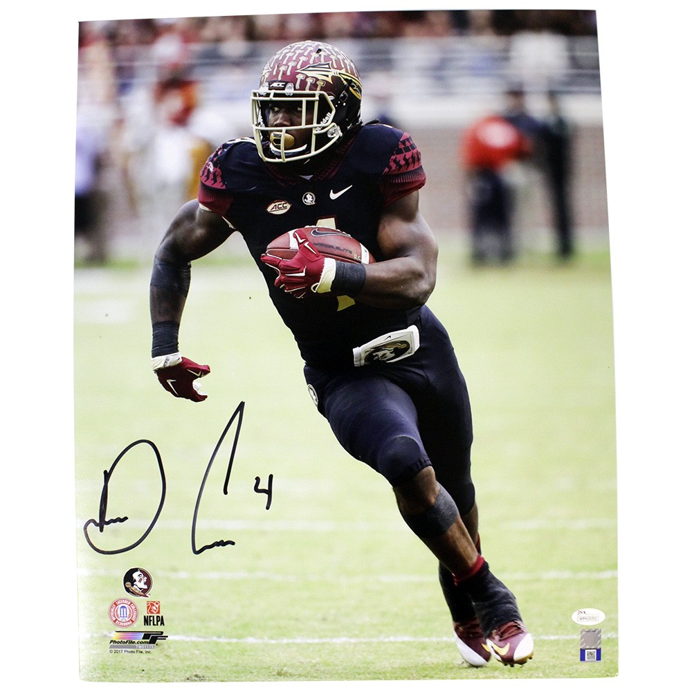 Florida state deals dalvin cook jersey