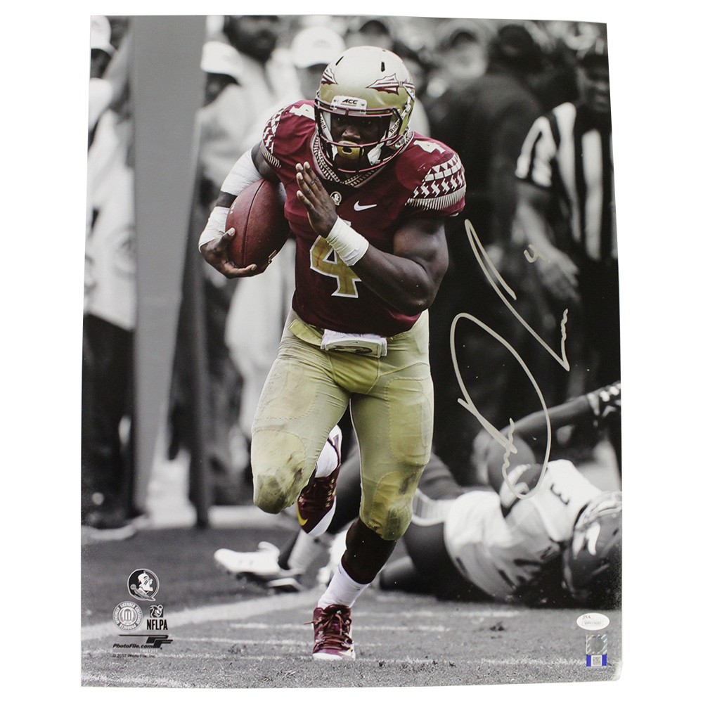 Dalvin cook autographed jersey discount