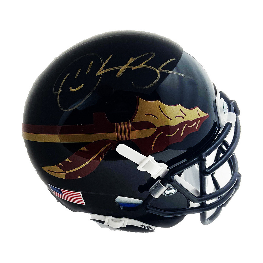 Fsu mini cheap helmet