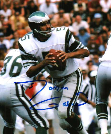 Roman gabriel jersey for sale shop