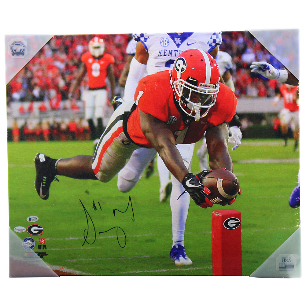 Sony michel uga jersey sales